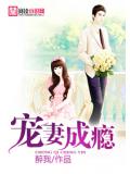 宠妻成瘾