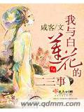 我与白莲花的二三事
