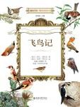 飞鸟记