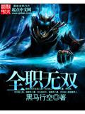 全职无双