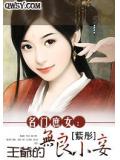 名门庶女:王爷的无良小妾