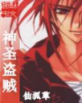 神圣盗贼